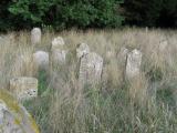 image of grave number 18974